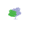 Willows Primary School