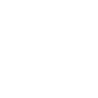 Icon - White - International.png